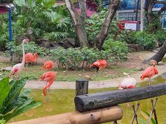 -三亚蜈支洲岛旅游区
