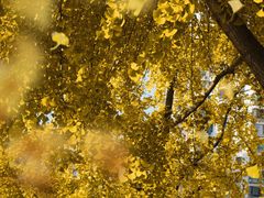 -苏州河梦清园环保主题公园