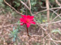 -小南山公园