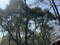 -灵顺寺