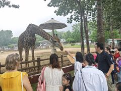 -大连森林动物园