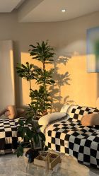-KONSISTANT科思坦汀问题肌·科技美肤