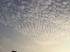 -% Arabica阿拉比卡咖啡烘焙工坊