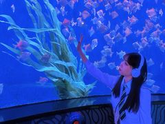 -沈阳海洋探索中心