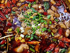 -天一沾水肥肠(科园一街店)