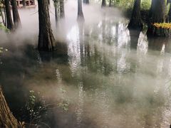-东湖落雁景区