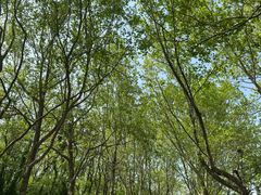 -棒棰岛宾馆景区