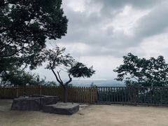 -惠山国家森林公园