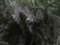 -杭州西湖风景名胜区-三生石