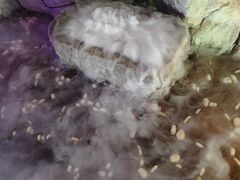 -太白山御龙湾温泉
