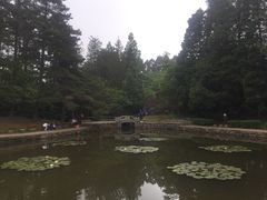 -庐山风景区花径公园
