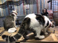 -小时光咖啡馆(开森度假森林店)