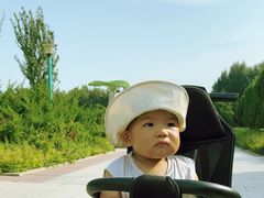 -长春公园(普阳街道)