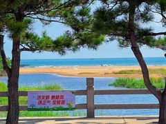 -日照海滨国家森林公园
