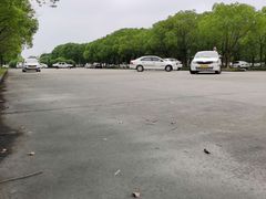 -安飞驰驾校·学车连锁(金高店)