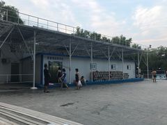 -青年湖公园水上世界