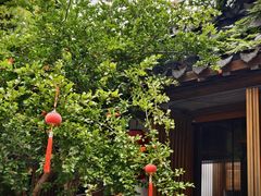 -鲤院·新中式美学·庭院餐厅(夫子庙店)