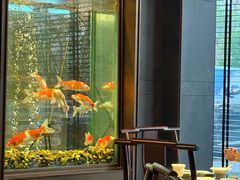 -浩运海鲜·16年专注青岛菜(石老人店)