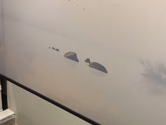 -上足·影院足道·SPA(红岭店)