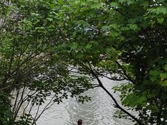-张氏父子常德肠子馆(湘江世纪城直营店)