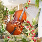 纪念日不知道去哪里，就选这家火遍全城浪漫的爱情餐厅‼️