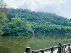 -滴水岩森林公园