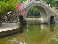 -团结湖公园