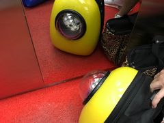 -瑞鹏宠物医院·骨科·猫科·内科(第一中心)