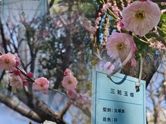 -静安雕塑公园