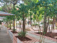 -陶缘一号·四季缘·老字号顺德菜·户外婚礼家宴(西滘店)