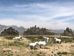 -敕勒川草原文化旅游区