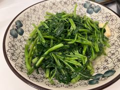 空心菜-春餐厅