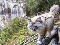 -千泷沟大瀑布旅游区