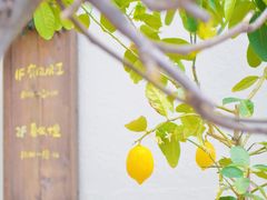 -春风十里咖啡馆