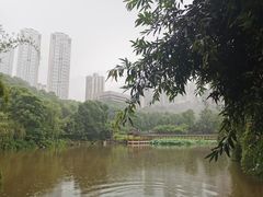 -龙头寺公园