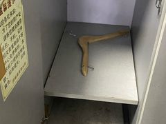 -汤峪温泉碧水湾