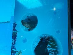 -泉城欧乐堡海洋极地世界