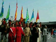 -杭州湾海上花田景区