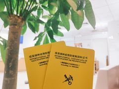 -上海国际旅行卫生保健中心(浦东分中心)