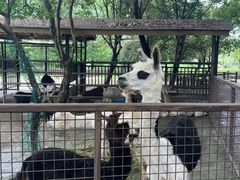 -宁波野生动物园