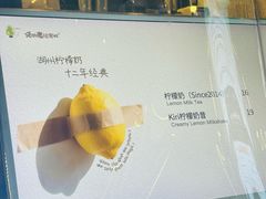 -猫的魔法密林(衣裳街店)