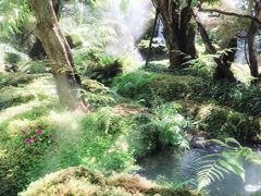 -Chom Cafe and Restaurant