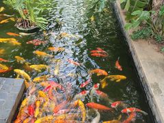 -三亚亚龙湾五号度假别墅酒店