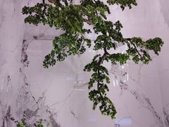 -赣悦轩·四季小馆