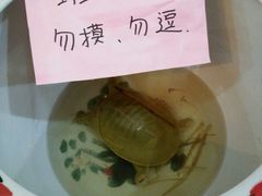 -学生路大别山酒店