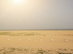 -白沙门生态公园