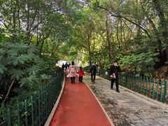 -西安市长乐公园