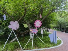 -金鸡湖桃花岛