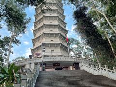 -深圳国际园林花卉博览园