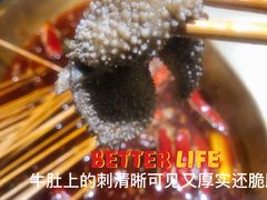 -来涮蜀鲜货火锅串串香(菜市口店)
